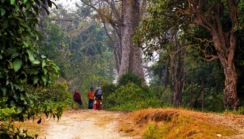 Beautiful Bardiya National Park